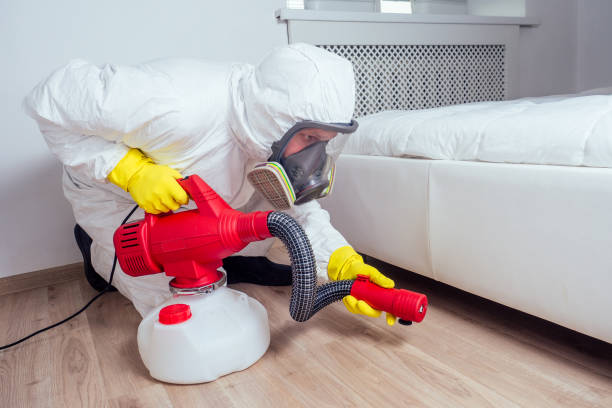 Reliable Berwyn, PA Pest Control Solutions